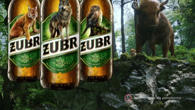 Video Reference: Drink, Beer, Alcoholic beverage, Bottle, Liqueur, Distilled beverage, Glass bottle, Lager, Beer bottle, Ice beer, Sitting, Food, Bear, Table, Cake, Standing, Dog, Group, Sign, Man, Tree, Text, Animal