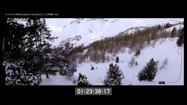 Video Reference: Nature, Snow, Winter, Tree, Sky, Geological phenomenon, Woody plant, Photography, Freezing, Screenshot