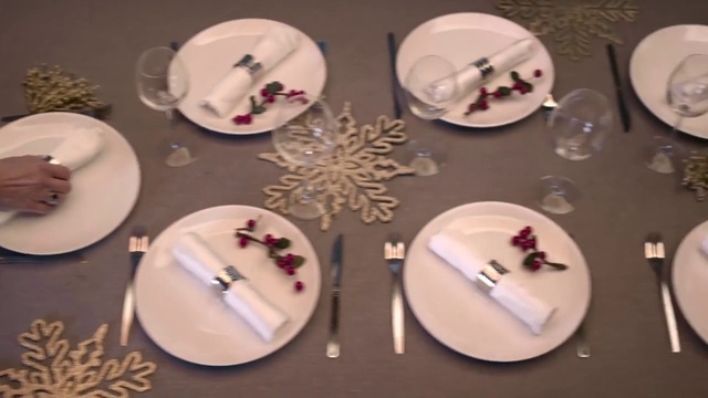 Video Reference: Dishware, Plate, Tableware, Porcelain, Circle, Serveware, Saucer