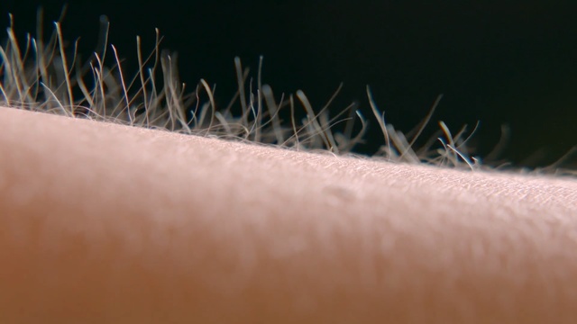 Video Reference: Close-up, Macro photography, Eyelash