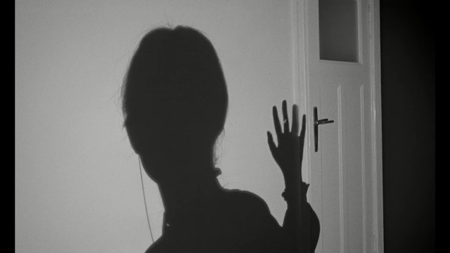 Video Reference: black, white, photograph, black and white, shadow, monochrome photography, silhouette, photography, light, snapshot