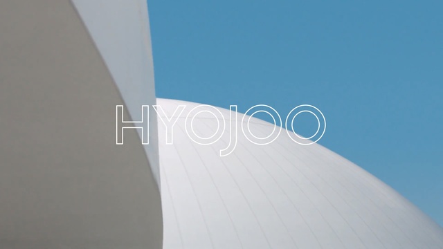 Video Reference: sky, daytime, architecture, wind, line, flap, energy, daylighting, wing, angle, Person