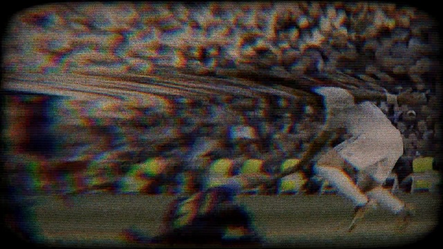 Video Reference: fauna, organism, wildlife, art, Person