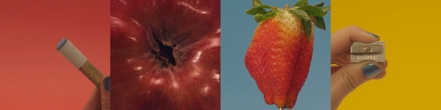 Video Reference: flower, plant stem, still life photography, petal, Person