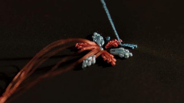 Video Reference: close up, macro photography, darkness, organism