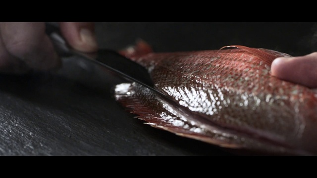 Video Reference: Fish, Close-up, Hand, Finger, Flesh, Fish, Nail, Seafood, Leather