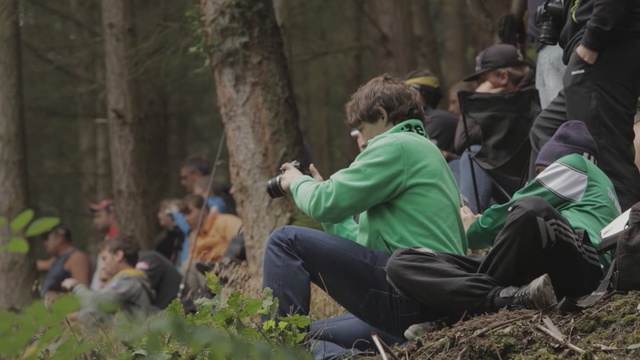 Video Reference: Woodland, Forest, Wilderness, Biome, Adaptation, Jungle, Old-growth forest, Tree, Recreation, Plant