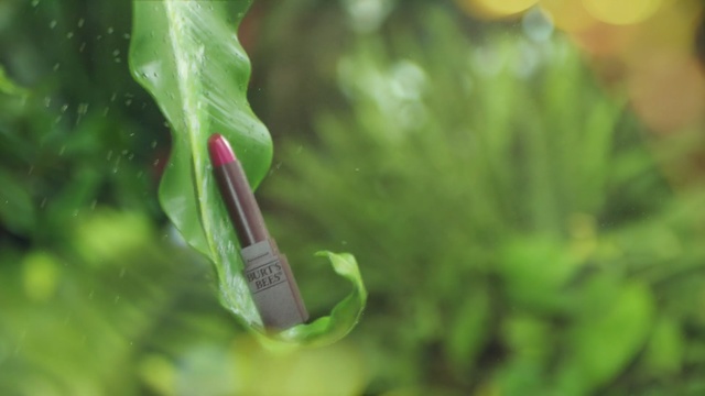 Video Reference: Green, Leaf, Plant, Grass, Nepenthes, Flower, Plant stem