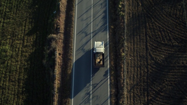 Video Reference: wall, architecture, tree, building, sky, reflection, window, alley, facade, darkness