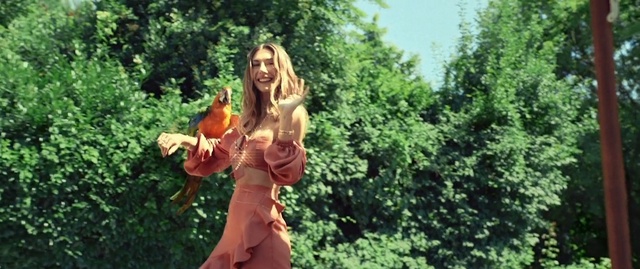 Video Reference: Natural environment, Tree, Blond, Grass, Botany, Jungle, Shrub, Forest, Organism, Plant