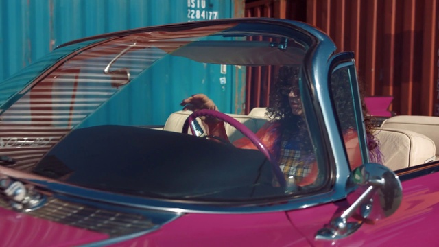 Video Reference: Motor vehicle, Vehicle door, Vehicle, Car, Automotive exterior, Windshield, Vintage car, Automotive design, Glass, Auto part