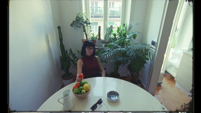 Video Reference: Room, Houseplant, Plant, À la carte food, Dish, Interior design, Breakfast, Food, House, Herb