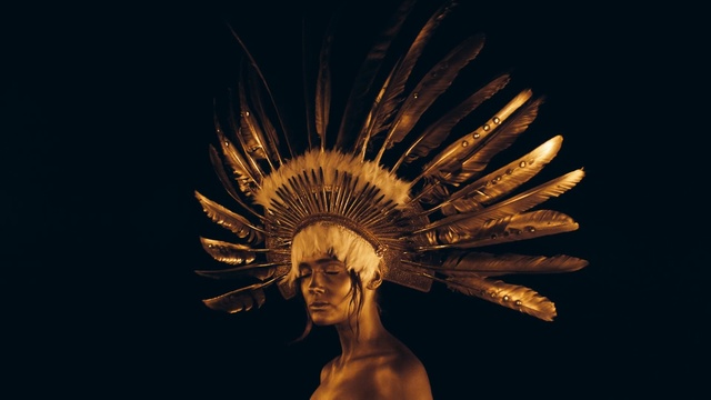 Video Reference: darkness, computer wallpaper, wing, stock photography, metal, feather, still life photography, art