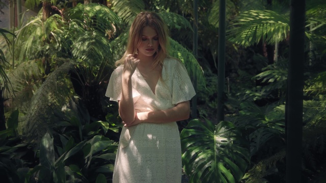 Video Reference: Vegetation, Natural environment, Jungle, Botany, Tree, Rainforest, Forest, Dress, Fun, Terrestrial plant