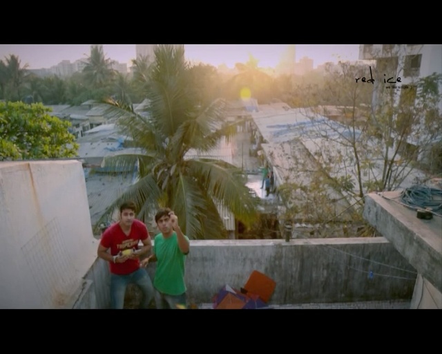 Video Reference: Photograph, Snapshot, Tree, Photography, Fun, Plant, Sunlight, Landscape, World, Leisure