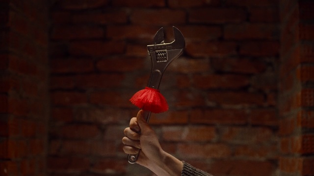 Video Reference: Red, Hand, Wood, Plant, Night