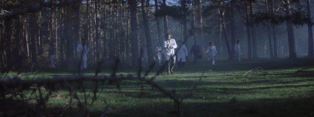 Video Reference: tree, forest, park, landscape, grass, woods, trees