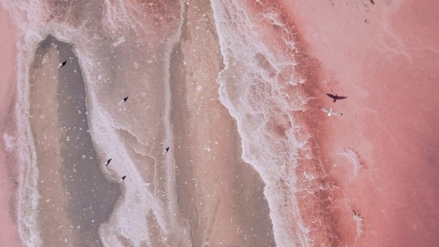 Video Reference: Pink