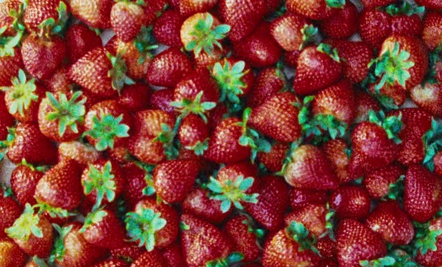 Video Reference: Natural foods, Strawberry, Strawberries, Fruit, Food, Frutti di bosco, Plant, Berry, Sweetness, Local food, Outdoor, Colorful, Cake, Grass, Table, Flower, Green, Plate, Sitting, Colored, Different, Many, Red, Wooden, Covered, Blue, Yellow, Large, Standing, Birthday, Pan, Garden, Holding, Group, Rambutan, Field, Tree, Parked, Alpine strawberry, Virginia strawberry, Accessory fruit, Superfood, Tayberry, Raspberry, Seedless fruit, Several