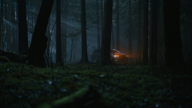 Video Reference: Nature, Forest, Natural environment, Atmospheric phenomenon, Darkness, Woodland, Light, Tree, Atmosphere, Biome