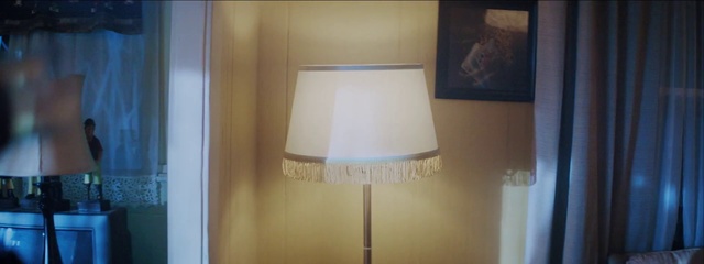 Video Reference: Lampshade, Lighting accessory, Light fixture, Lighting, Property, Room, Wall, Lamp, Home accessories, Shade