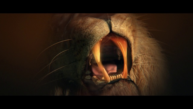 Video Reference: Hair, Fiction, Darkness, Close-up, Heat, Facial hair, Organ, Eye, Photography, Human