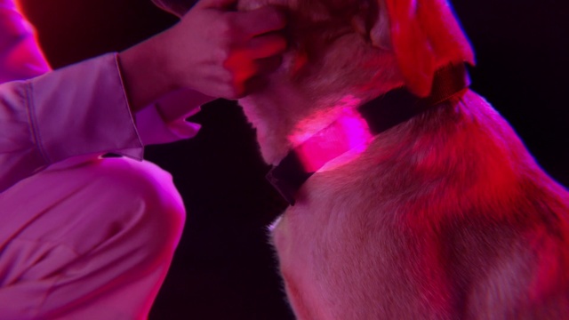 Video Reference: Pink, Magenta, Red, Purple, Violet, Performance