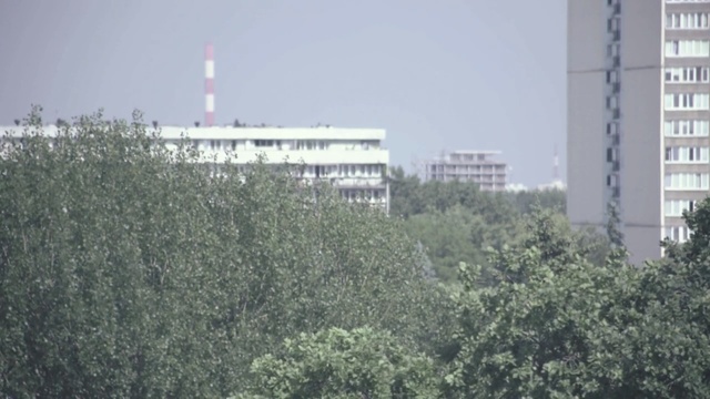 Video Reference: Atmospheric phenomenon, Tree, Urban area, Sky, Architecture, Haze, City, Plant, Tower, Building