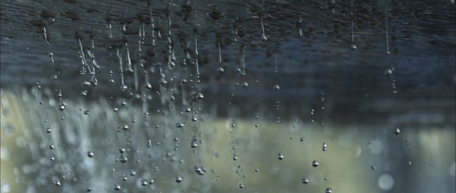 Video Reference: water, rain, water resources, reflection, atmosphere, drop, moisture, freezing, tree, drizzle