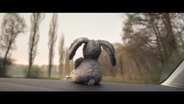 Video Reference: fauna, beak