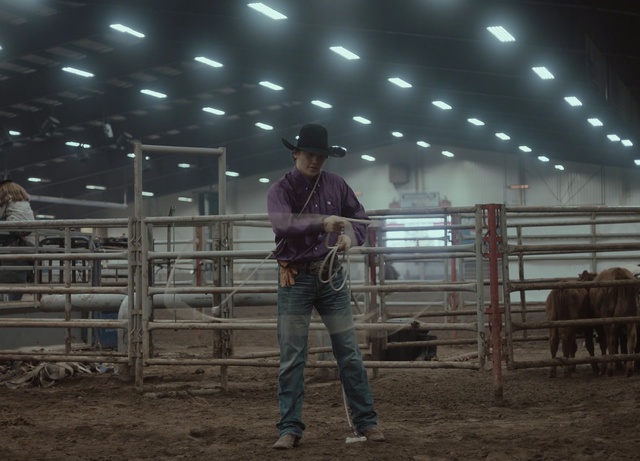 Video Reference: animal sports, rodeo, traditional sport, event, pack animal, bull, arena, equestrian sport, wrangler, cowboy