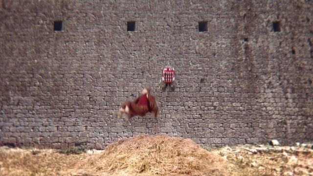 Video Reference: Wall, Rooster, Brick, Chicken, Adaptation, Stone wall, Brickwork, Plant, Soil