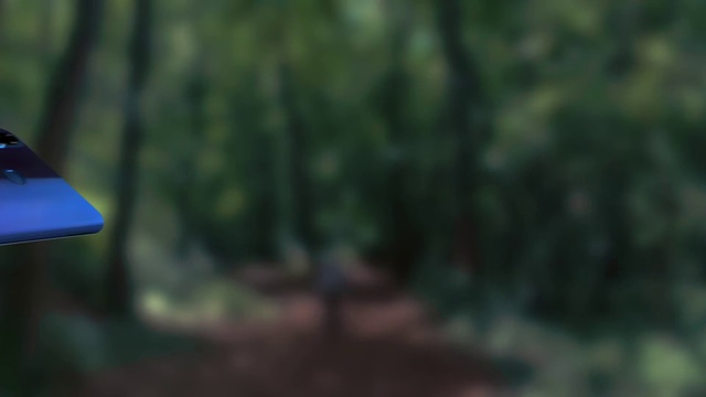 Video Reference: Green, Nature, Woodland, Natural environment, Tree, Leaf, Forest, Light, Biome, Jungle