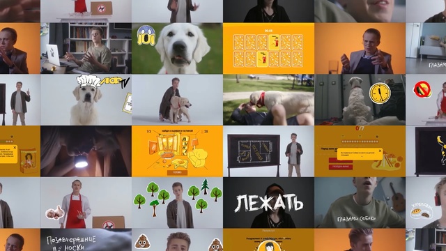 Video Reference: Yellow, Art, Dog breed, Canidae, Collage, Screenshot, Brand, Person