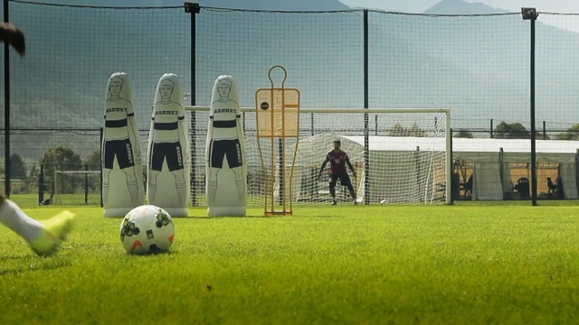Video Reference: Football, Player, Soccer ball, Grass, Ball, Goal, Soccer, Sports equipment, Net, Team sport, Person