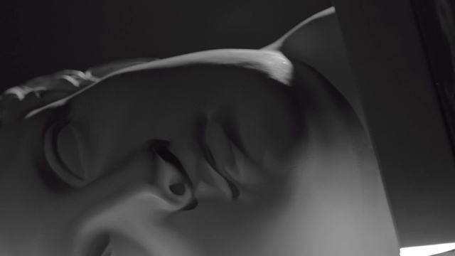 Video Reference: White, Black-and-white, Monochrome, Still life photography, Nose, Shoulder, Eyewear, Close-up, Monochrome photography, Joint