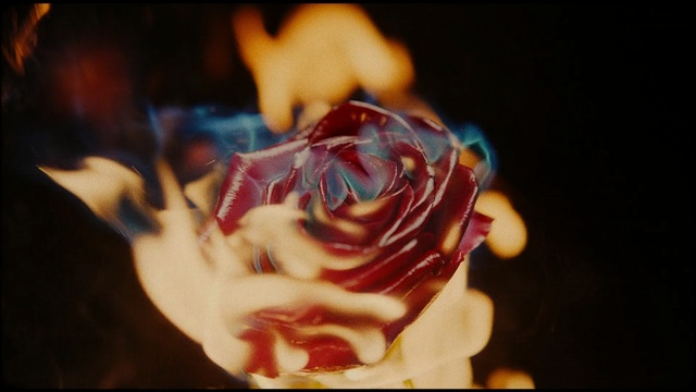 Video Reference: Red, Sweetness, Food, Flesh, Macro photography, Cuisine, Cream, Dessert, Art