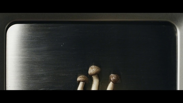 Video Reference: Black, Still life photography, Wood, Photography, Darkness, Still life