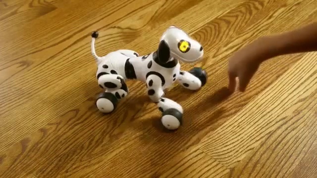 Video Reference: dog like mammal, dalmatian, toy, technology, carnivoran, flooring, floor, puppy, product, figurine