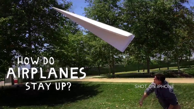 Video Reference: Shade, Grass, Leaf, Sky, Fun, Recreation, Tree, Leisure, Photography, Sunlight