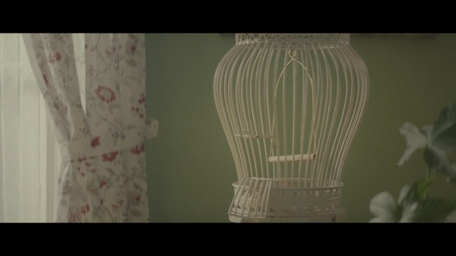 Video Reference: Room, Textile, Still life photography, Person