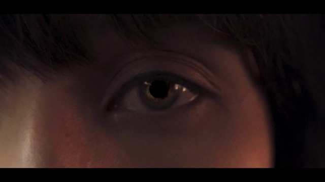 Video Reference: Face, Eyebrow, Eye, Eyelash, Iris, Close-up, Skin, Nose, Organ, Head