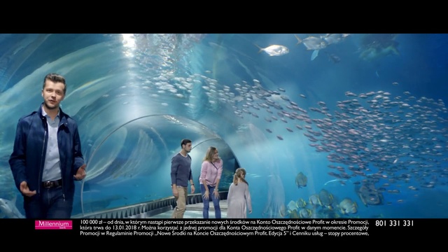 Video Reference: World, Photography, Leisure, Screenshot