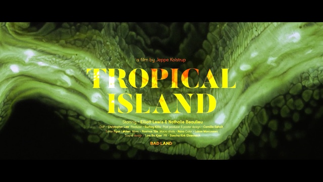 Video Reference: green, organism, computer wallpaper, graphics, font