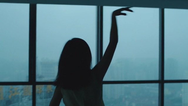 Video Reference: water, sky, window, silhouette, glass, shadow, Person