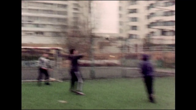 Video Reference: Photograph, Player, Snapshot, Grass, Net, Photography, Fun, Tree, Football player, Competition event