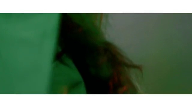 Video Reference: Green, Snapshot, Leaf, Close-up, Organism, Room, Macro photography, Photography, Fictional character