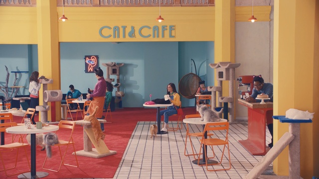 Video Reference: Room, Table, Leisure, Furniture, Building, Person