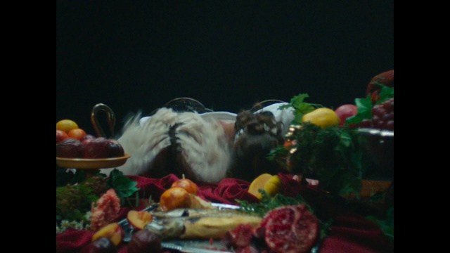 Video Reference: Still life, Still life photography, Painting, Organism, Food, Photography, Cuisine, Art, Person