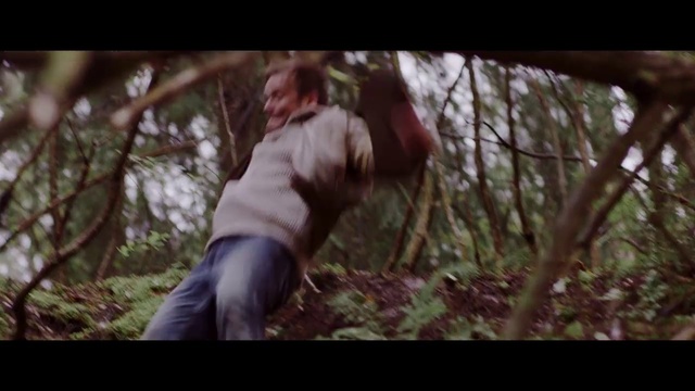 Video Reference: Nature, Forest, Natural environment, Woodland, Tree, Wilderness, Jungle, Photography, Woody plant, Branch